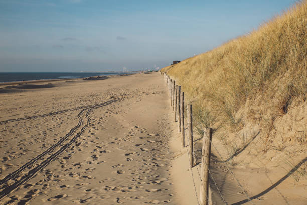 istock Scenic View Of Sandy Beach Against Blue Sky 733477993