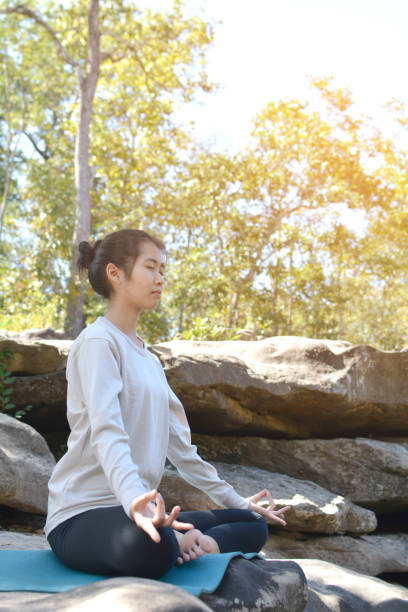 istock Young Woman Doing Yoga On Rock 733480129