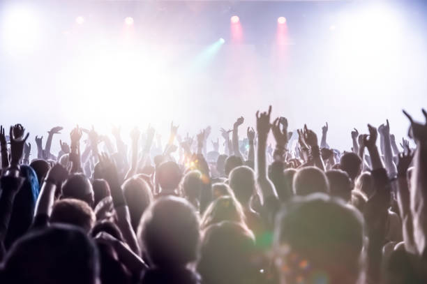 istock Crowd At Music Concert 733523441