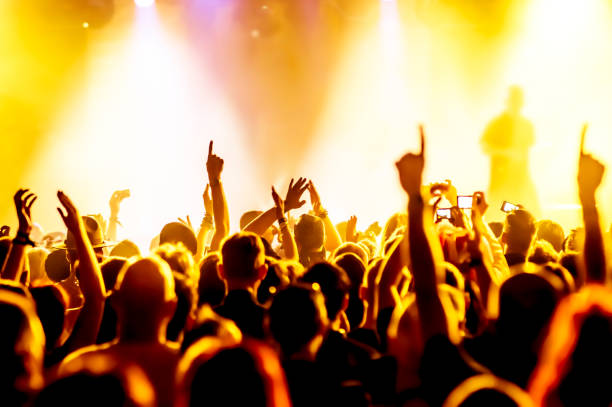 istock Crowd At Music Concert 733526079