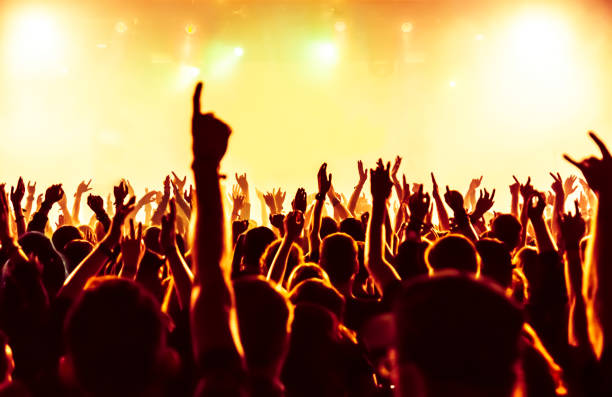 istock Rear View Of Crowd Enjoying During Music Concert 735961275