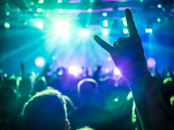 istock Rear View Of Crowd Enjoying During Music Concert 735962337