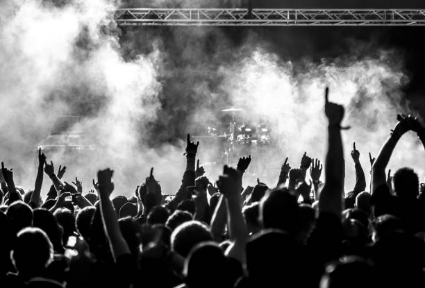 istock Rear View Of Crowd Enjoying During Music Concert 735963389