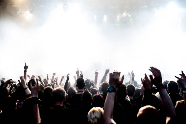 istock Rear View Of Crowd Enjoying During Music Concert 735964085