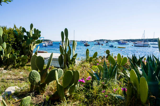 Photo Taken In Italy, Porto Cesareo