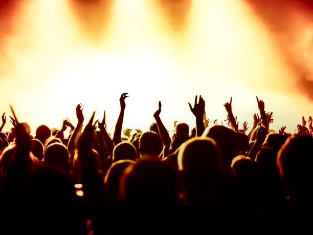 istock Rear View Of Silhouette Crowd Enjoying During Music Concert 735964591