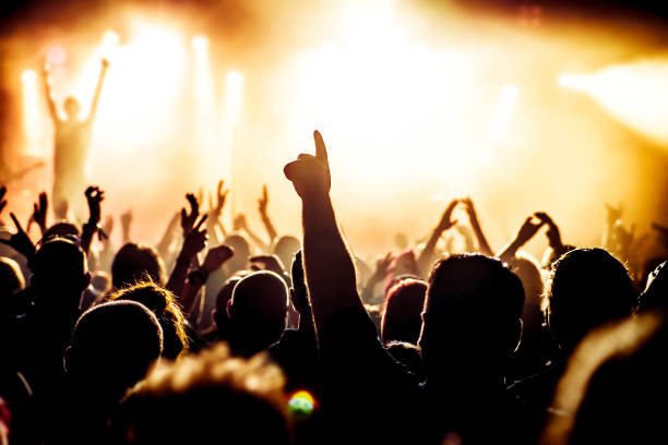 istock Rear View Of Silhouette Crowd Enjoying During Music Concert 735965701