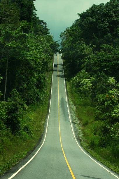 istock Road Amidst Trees Against Sky 735980393