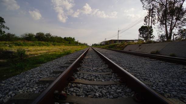 istock Railroad Track Amidst Trees Against Sky 736034825