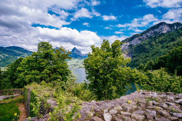 istock Scenic View Of Mountains Against Sky 736038967