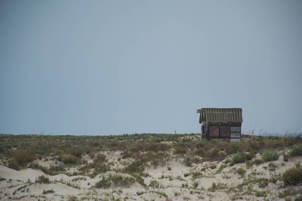 istock Lifeguard Hut On Field Against Clear Sky 736048905