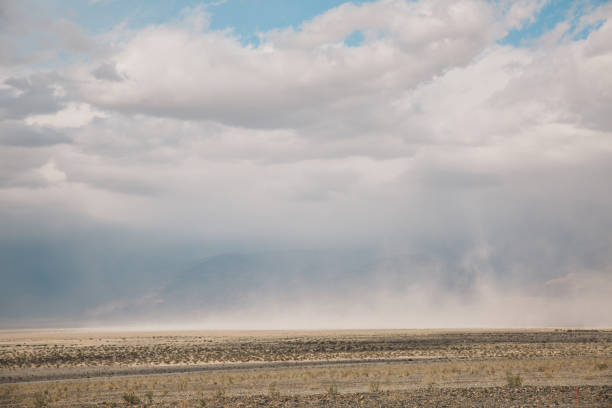 istock Scenic View Of Field Against Sky 736381561