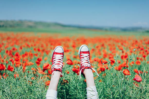 istock Canvas Shoes On Hands In Poppy Field 736513825