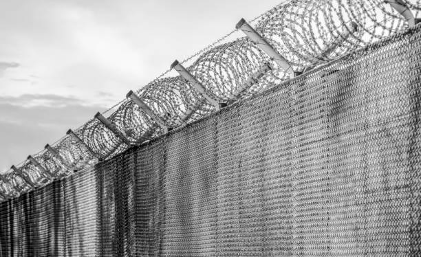 istock Low Angle View Of Barbed Wire On Chainlink Fence Against Sky 736514573