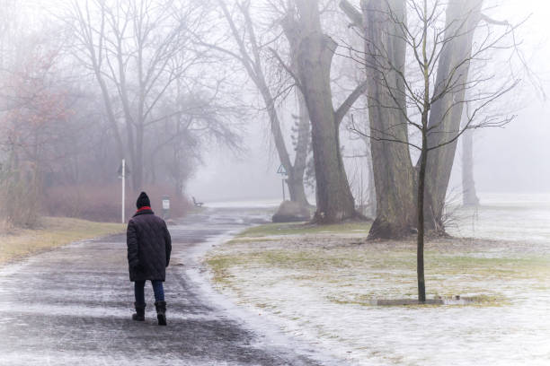 rear view of man walking on road against bare trees during winter - 5891 imagens e fotografias de stock