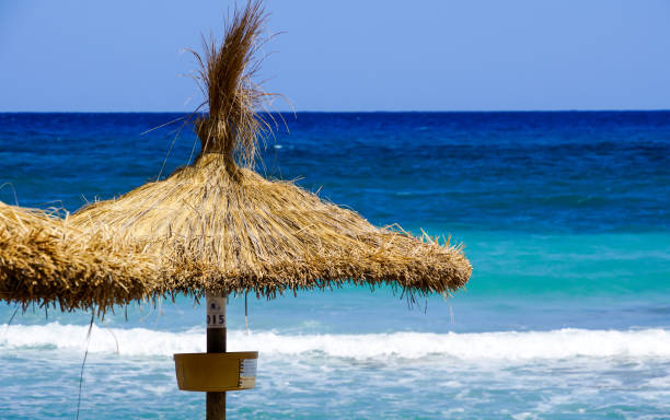 istock Scenic View Of Sea Against Clear Blue Sky 736542575