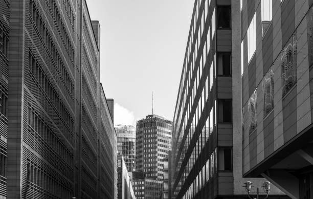 istock Low Angle View Of Buildings In City 736839679