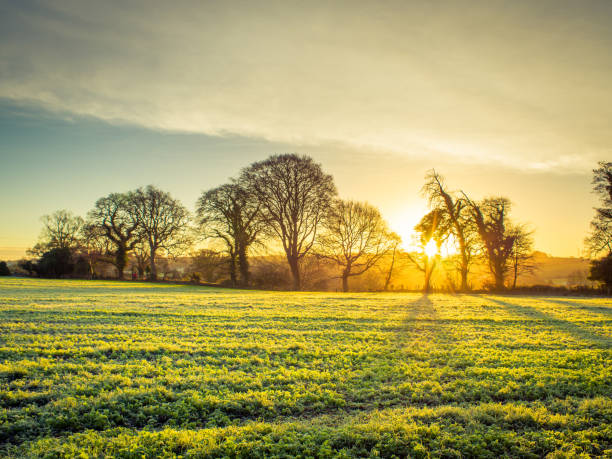 istock Scenic View Of Field Against Sky During Sunset 739220437