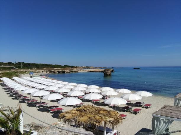 istock Parasols At Beach Against Blue Sky 739244383