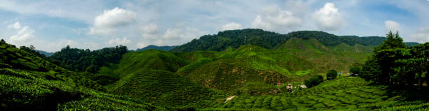 istock Panoramic View Of Agricultural Field Against Sky 740621315