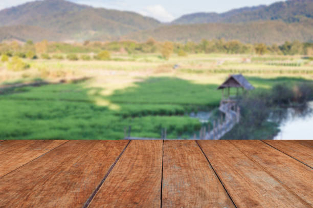istock Scenic View Of Agricultural Field 740684185