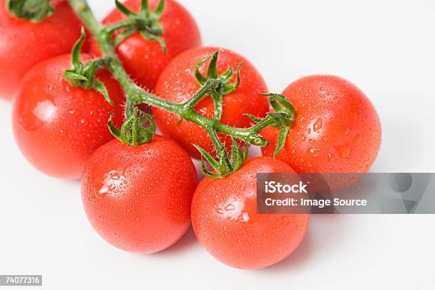 Tomates Na Videira - Fotografias de stock e mais imagens de Alimentação Saudável - Alimentação Saudável, Antioxidante, Caule de planta