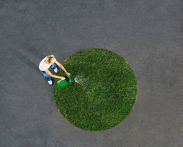 Woman watering circle of grass on pavement  only mid adult women stock pictures, royalty-free photos & images
