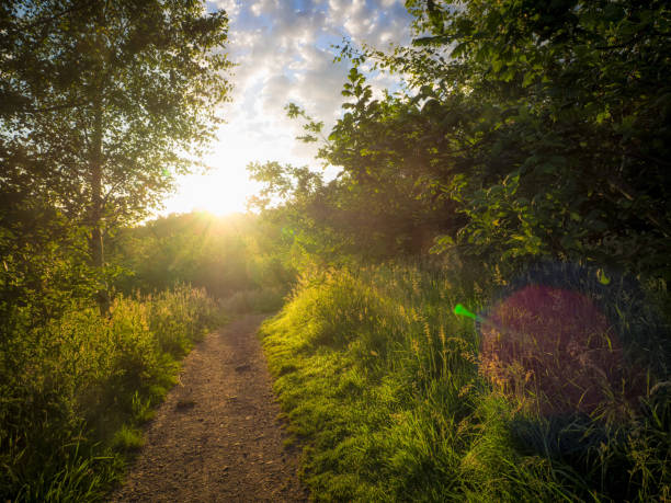 istock Scenic View Of Landscape Against Sky 742275041