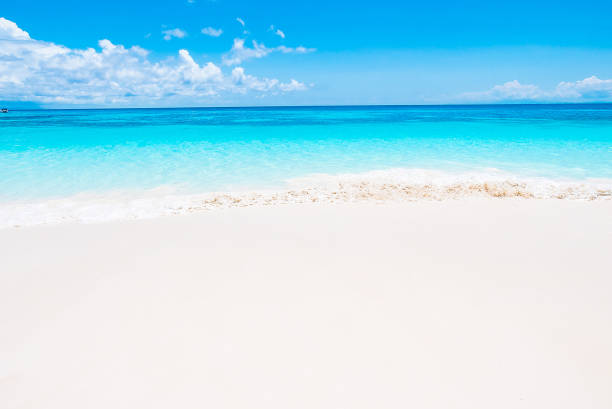 istock Scenic View Of Beach Against Blue Sky 742288175