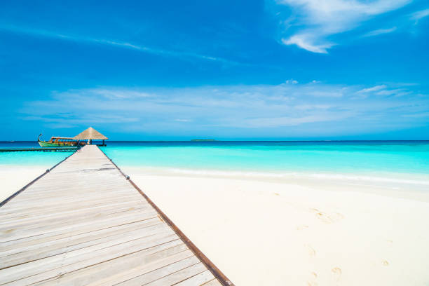 istock Close-Up Of Beach Against Blue Sky 742288931