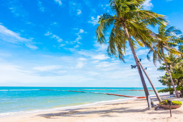istock Scenic View Of Beach Against Blue Sky 742290389