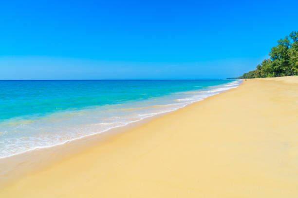 istock Scenic View Of Beach Against Clear Blue Sky 742297299