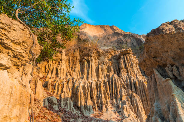 vista a basso angolo delle formazioni rocciose in un deserto - 6005 foto e immagini stock