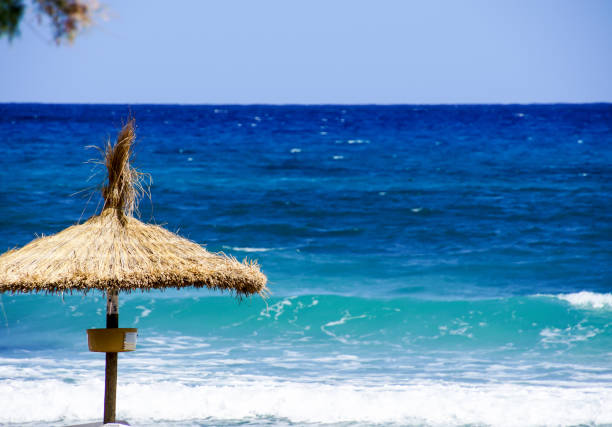 istock Parasol On Shore At Beach Against Sky 743739915