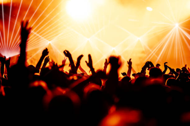 istock Crowd Enjoying In Concert At Night 743742917