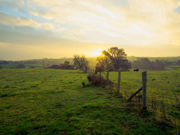istock Scenic View Of Field Against Sky During Sunset 743743085