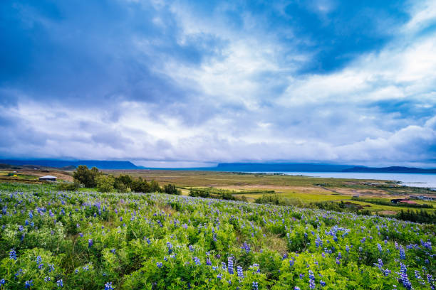 istock Scenic View Of Field Against Sky 743773829