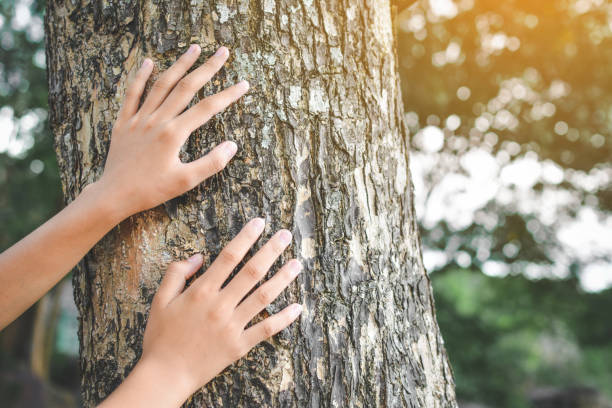 istock Cropped Hand On Person On Tree Trunk 750558445