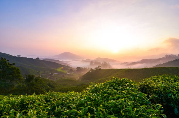 istock Scenic Landscape At Sunset 750561831