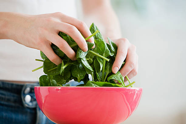 人の準備ホウレンソウ - spinach ストックフォトと画像