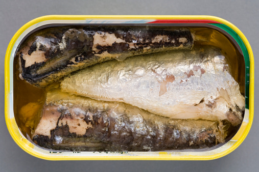 Fish with lemon and rosemary in a vacuum package for cooking suvid on white backgound