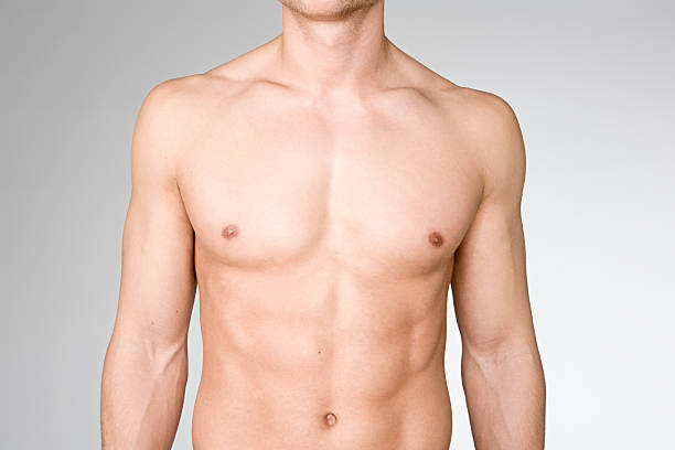 corpo masculino - pectoral muscle imagens e fotografias de stock