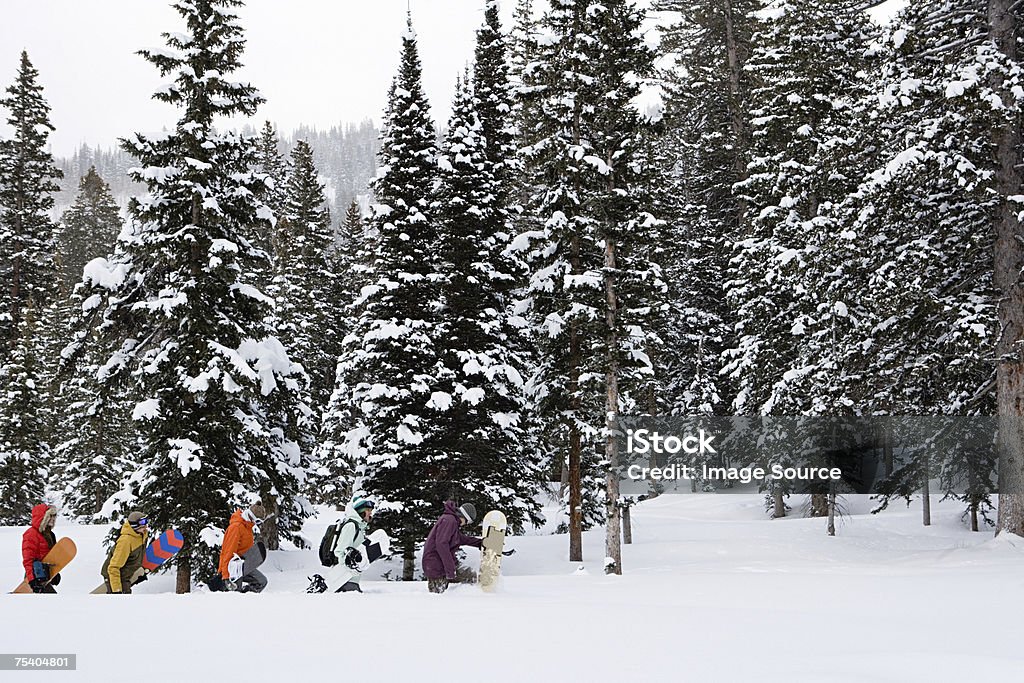 Snowboarders  Adult Stock Photo