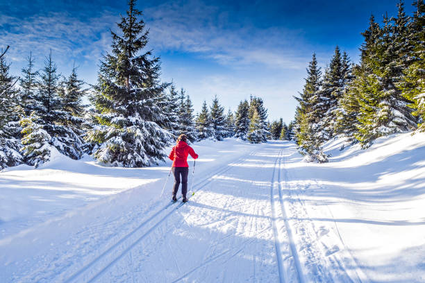 Photo Taken In Oberhof, Germany