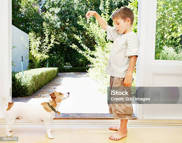 Um Jovem Rapaz Brincando Com Seu Cão Pequeno - Fotografias de stock e mais imagens de 6-7 Anos - 6-7 Anos, Animal Doméstico, Animal de Estimação