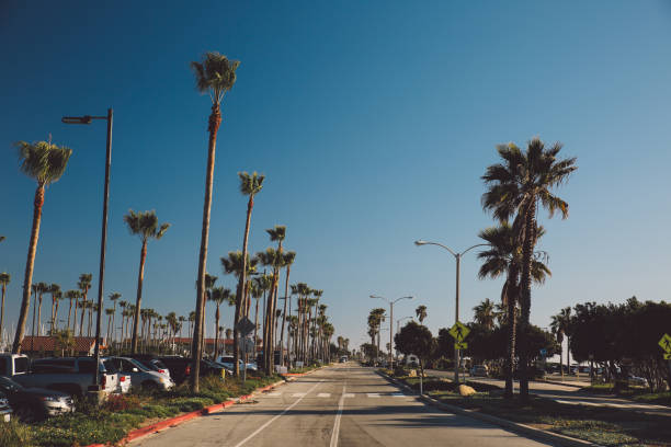 istock Street Amidst Trees Against Clear Blue Sky 758577217