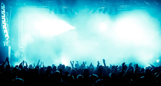 istock Rear View Of Crowd Enjoying During Concert 758592275