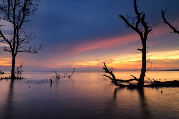 istock Silhouette Bare Tree By Sea Against Sky During Sunset 758670733