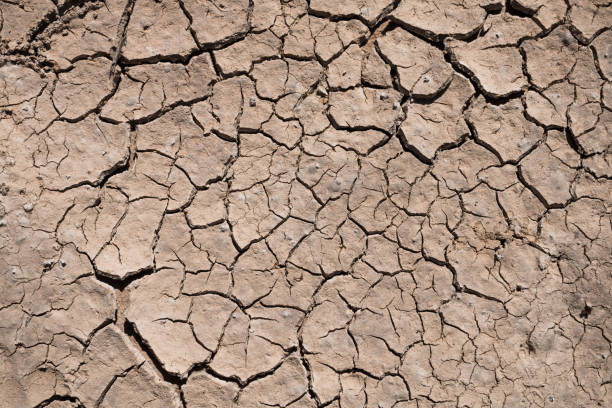 istock Close-Up Of Cracked Land 758684661
