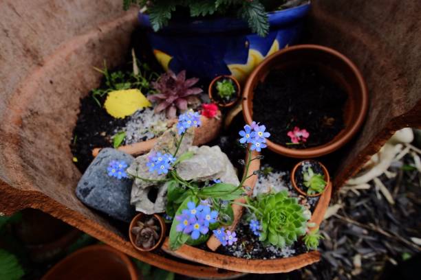 istock High Angle View Of Various Flowers In Pot 758731413